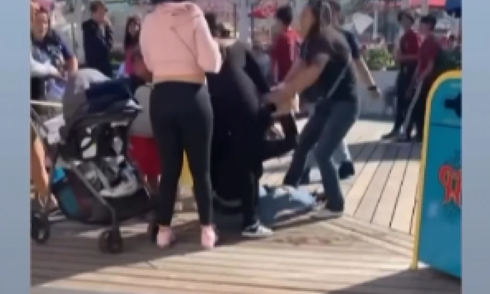 ΗΠΑ: Απίστευτο σκηνικό- Μαμάδες "πλακώθηκαν" στην Ντίσνεϊλαντ της Καλιφόρνια (Βίντεο)